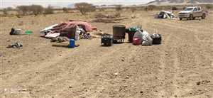 وحدة النازحين بمأرب: مليشيات الحوثي تفخخ مخيمات النازحين غربي المحافظة