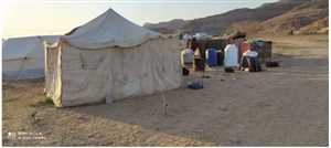 تقرير: الحوثيون هجروا ١٢ ألف نازح من مخيماتهم غرب مارب