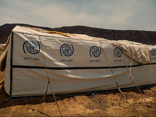 المنظمة الدولية للهجرة تقول إنها ساعدت 25 ألف نازح في مأرب