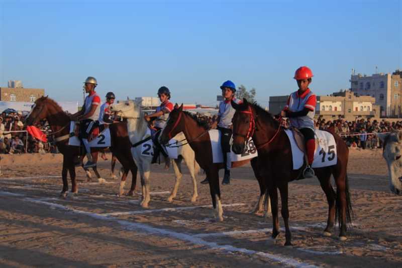 مأرب: انطلاق بطولة الفروسية بمشاركة 32 فارسا