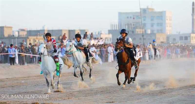 مدير مكتب الشباب والرياضة بمدينة مارب يتحدّث لـ"أوام أونلاين" عن بطولة الفروسية التي تقام للمرّة الأولى بالمحافظة