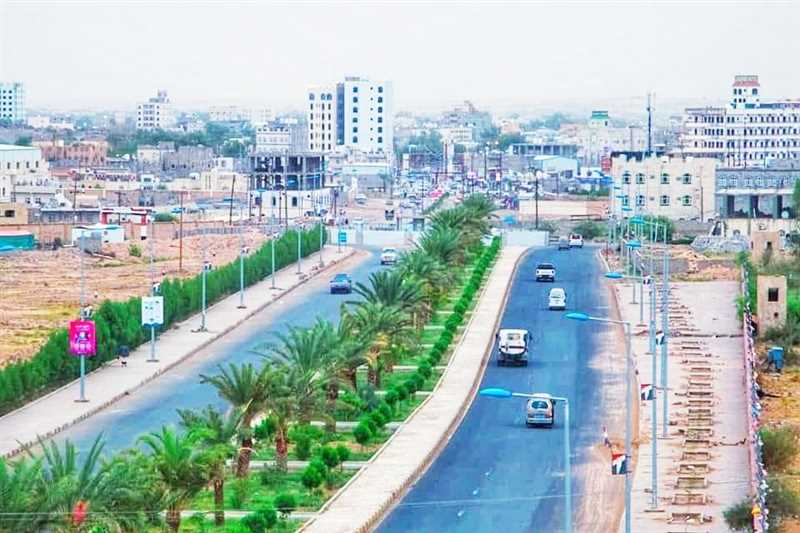 صندوق النظافة والتحسين بمأرب: زرعنا ٣١ ألف شجرة العام الماضي وهذه إنجازاتنا (تقرير)