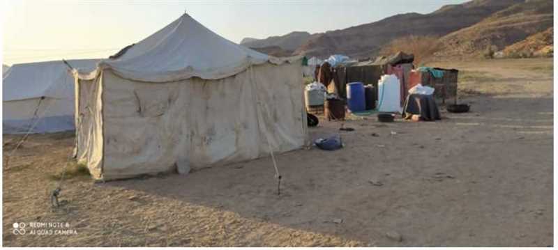 تقرير: الحوثيون هجروا ١٢ ألف نازح من مخيماتهم غرب مارب