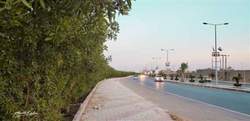 استكمال مشروع رصف الأرصفة الجانبية لشارع صرواح بمدينة مأرب