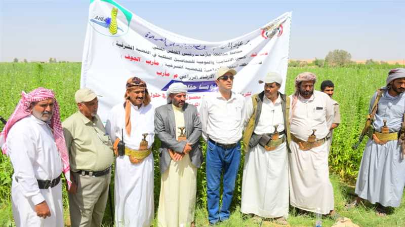 تدشين يوم حقلي للمزارعين في مديريتي الوادي والمدينة بمأرب