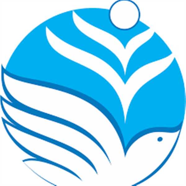 منظمة "سام" تدعو إلى ضمان حماية الصحفيين في اليمن وتقديم المتورطين في الانتهاكات للعدالة.