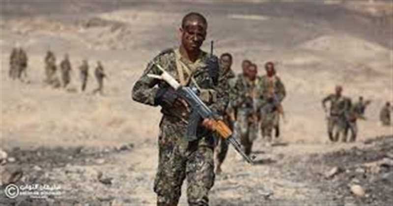 الأجهزة الأمنية بمأرب تلقي القبض على عصابة تستهدف أطقم وآليات الجيش