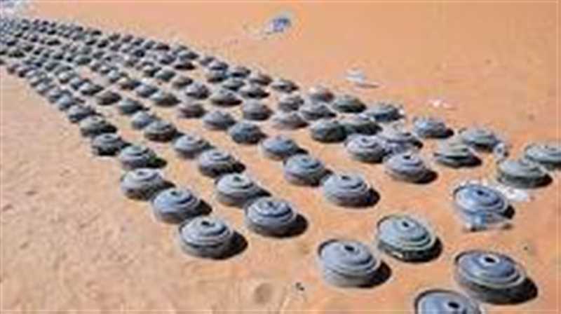 خلال 72ساعة ..ثمانية أطفال ضحايا ألغام مليشيا الحوثي.