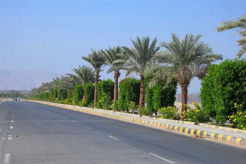 صندوق النظافة والتحسين .. 2023 عام حافل بالإنجاز .