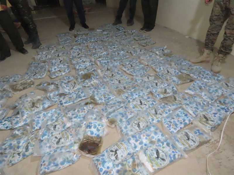 الأجهزة الأمنية تضبط شحنة حشيش كانت في طريقها لمليشيات الحوثي